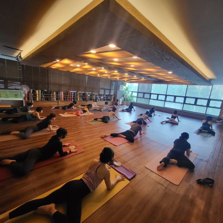  용인동백에서 만나는 요가의 재미! 이지요가 3개월 등록 시 1개월 공짜! 놓치지 마세요!