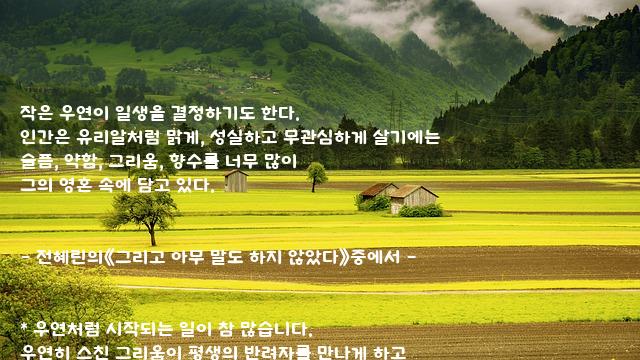 우연 우연