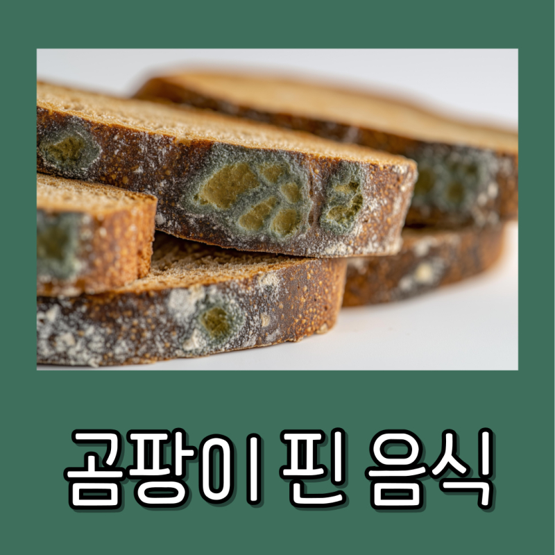 곰팡이 핀 음식 먹으면 어떤 위험이 있을까?
