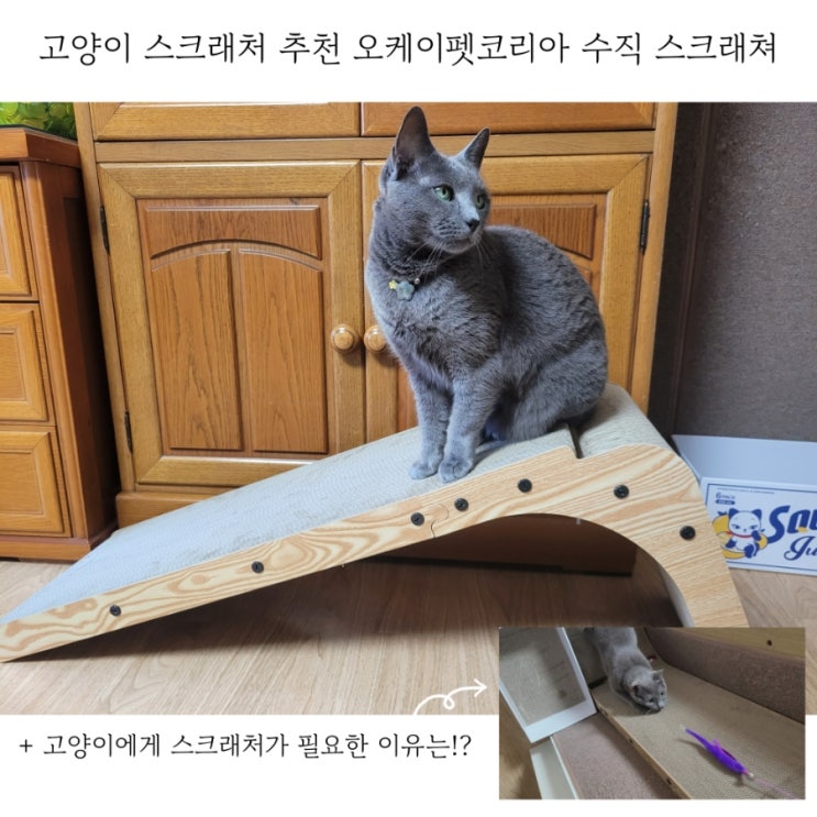  고양이 스크래처 오케이펫코리아 수직스크래쳐 필요한 이유