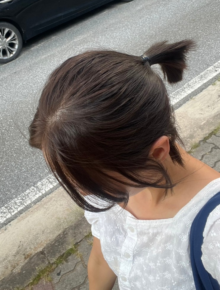  미장센 뉴 헬로버블 더스티애쉬 자연모 염색 후기