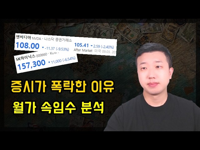 증시가 폭락한 이유와 이를 준비한 월가의 속임수(ft.엔비디아) 증시가 폭락한 이유와 이를 준비한 월가의 속임수(ft.엔비디아)