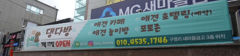 사진 4