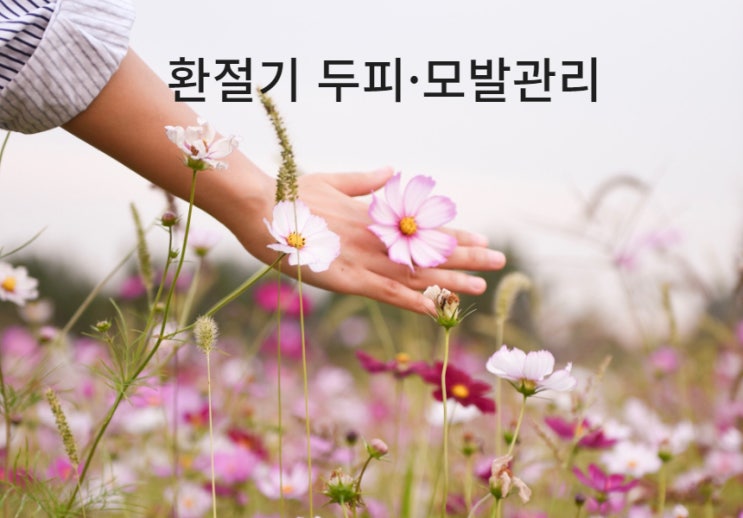  환절기 심해지는 탈모증상