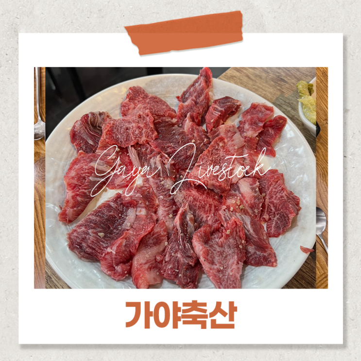  창원중앙동고기집 가야축산 한우 맛집 후기