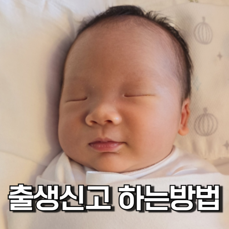 출산 후 제일 먼저 해야 하는 출생신고하는 방법 출산 후 제일 먼저 해야 하는 출생신고하는 방법