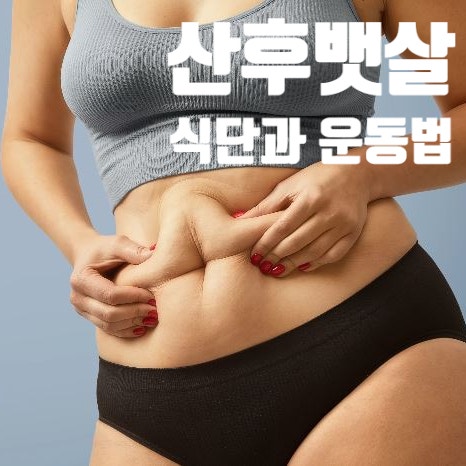  산후복부의 피부변화와 관리 (2) 산후뱃살, 산후비만