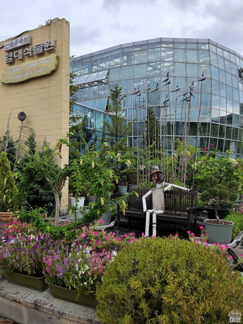 무료 이미지 : 나무, 통로, 잔디, 꽃, 밀림, 식물학, 정원, 플로라, 쿠바, 의지, 초목, 열대 우림, 바레 데로, 농원,  식물원, 열대 식물, 조경 된 공원, 팔메 토스, 우디 식물, 육상 식물, 종범,, image size:800x1066