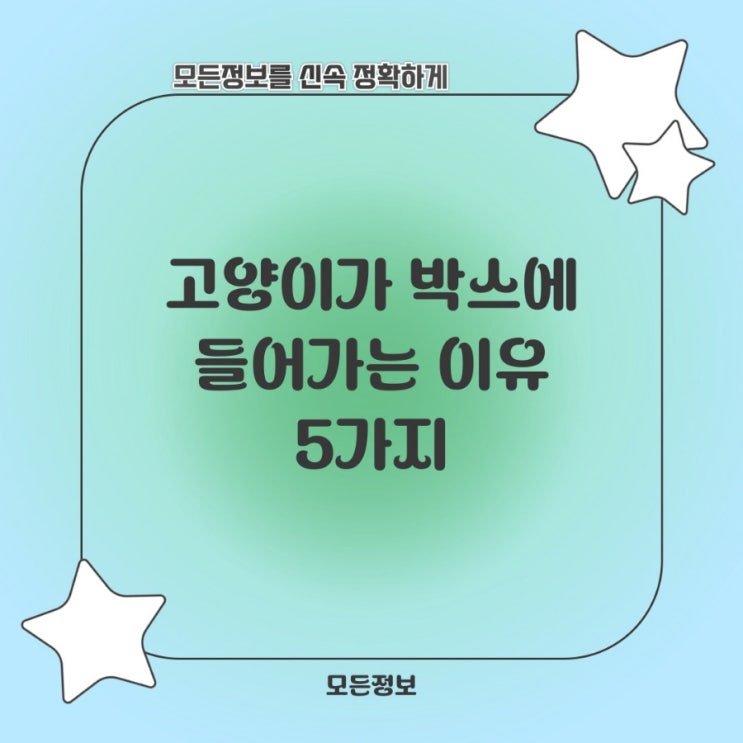  고양이가 박스에 들어가는 이유 5가지