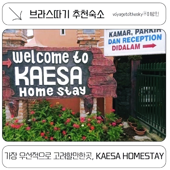  브라스따기강추숙소 I 여기서 가장 우선적으로 고려할만한곳 2만원대 게스트하우스 KAESA HOMESTAY