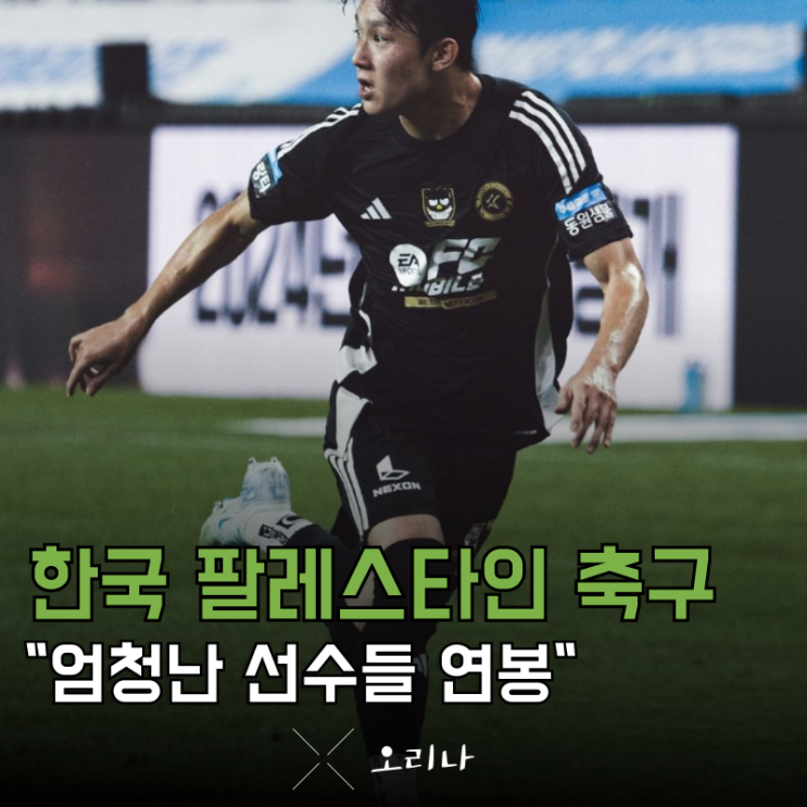 기념 주민규 이재성 <b>조현우</b> 설영우 <b>양민혁</b> 연봉 순위 알아보기
