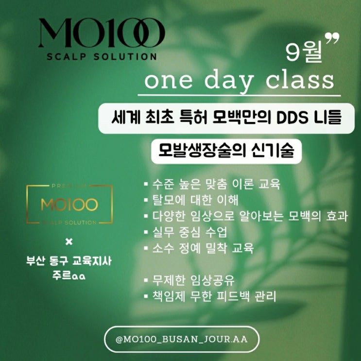  부산 범일동◽모발생장술(MO100) 원데이 교육◽주르 에스테틱