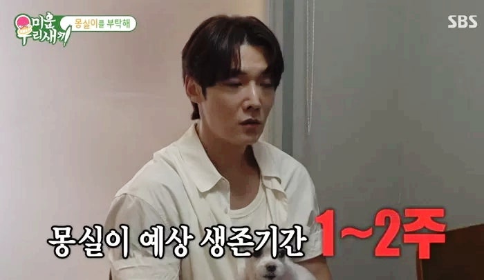 배우 최진혁 나이 프로필 강아지 몽실이 시한부 선고