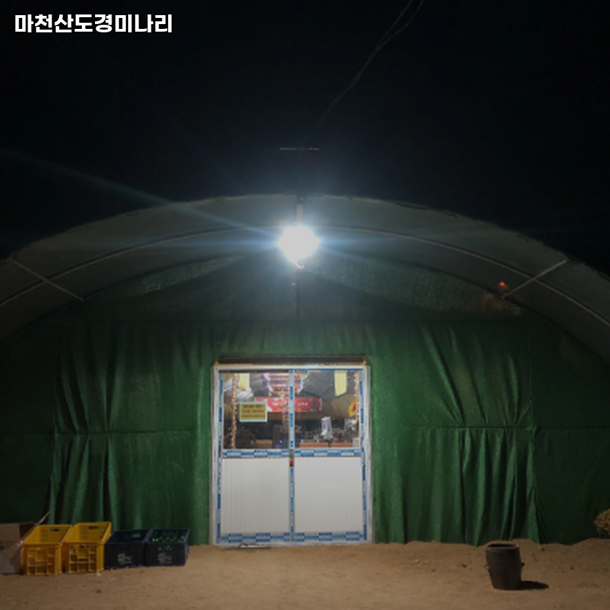 마천산 도경미나리 사진 5