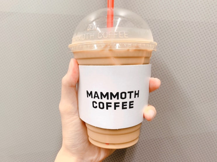  매머드커피 메뉴 돌체 콜드브루 라떼 맛있는 조합 추천