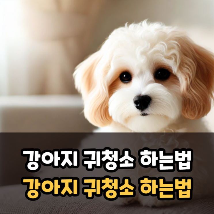  강아지 귀청소 하는법