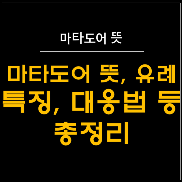  마타도어의 모든 것: 뜻부터 대응법까지 - 21세기 정치 무기의 실체