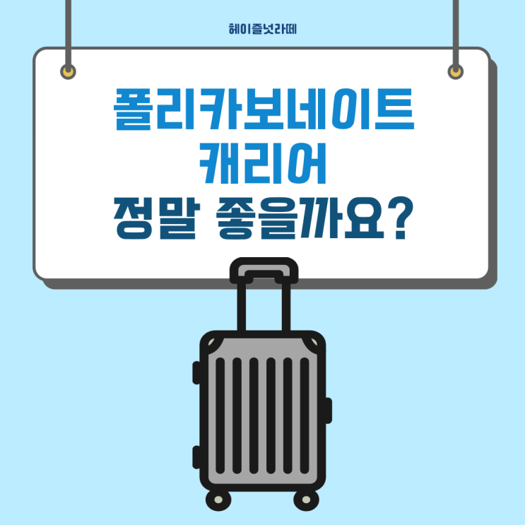  폴리카보네이트 재질 캐리어 정말 좋을까?