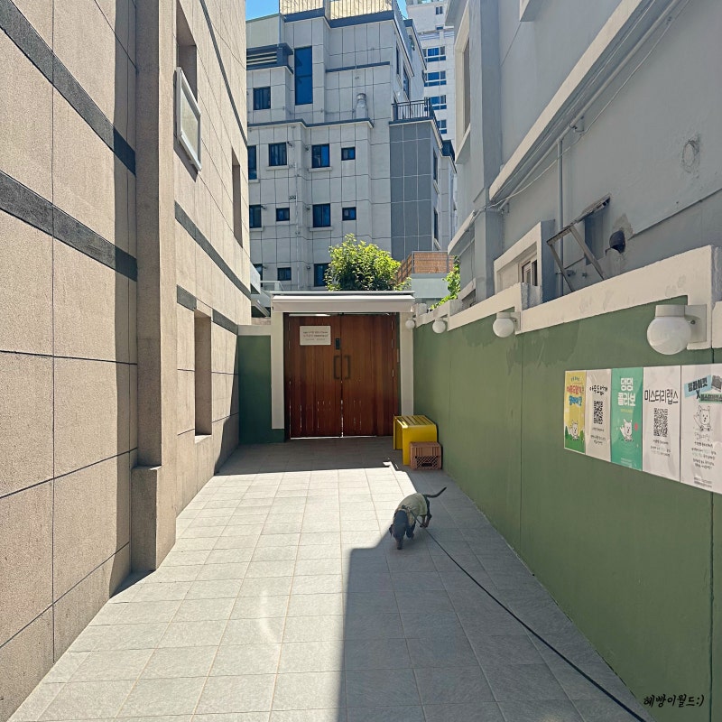 사진 4