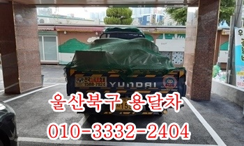 울산북구용달 정자 주전 입실 모화 외동 불국사 염포 양정 진장동 감포. 울산북구용달 정자 주전 입실 모화 외동 불국사 염포 양정 진장동 감포.