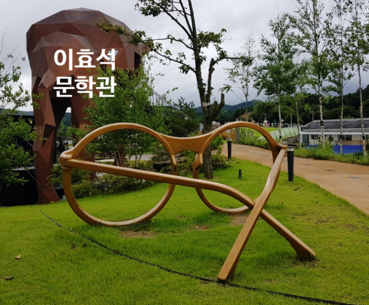  천고마비의 계절, 메밀꽃 축제 평창 효석 문화제가 열리는 봉평으로!