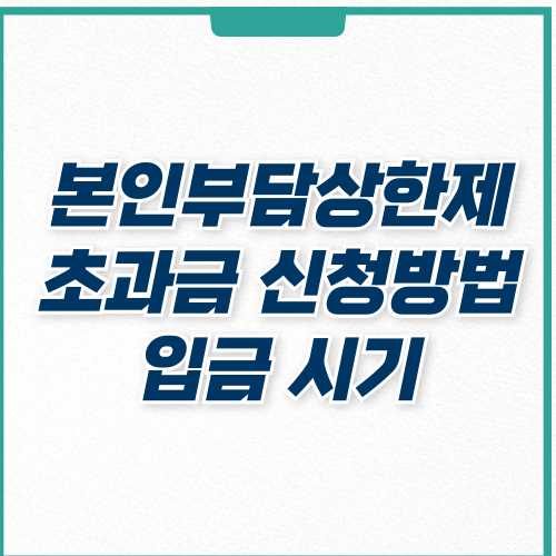  본인부담상한제 초과금 환급 조회 및 신청 방법, 소득분위 2024