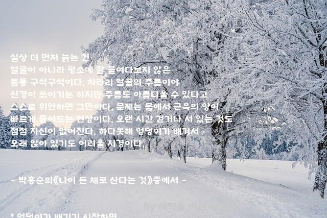 얼굴 얼굴