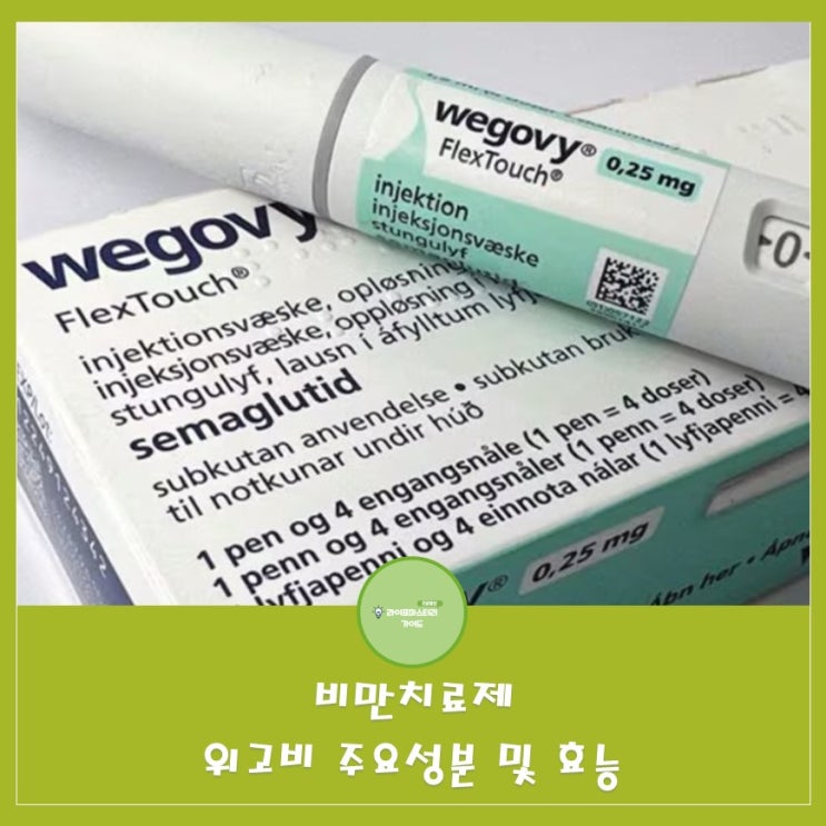  위고비: 체중감량, 2형 당뇨병에도 효과적인 비만치료제 | 위고비 vs 삭센다 vs 오젬픽, 무엇이 다를까?