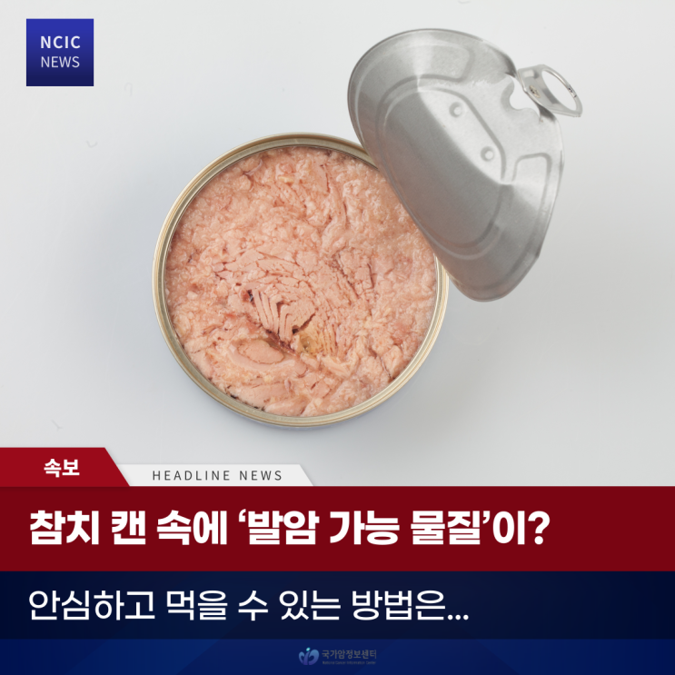  참치 캔 속에 ‘발암 가능 물질’이? 안심하고 먹을 수 있는 방법은...