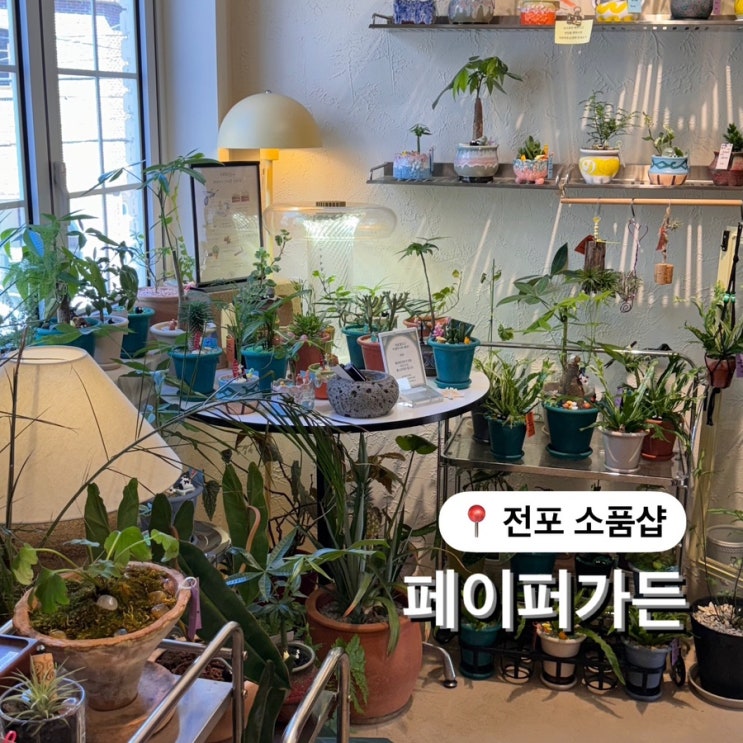  부산 전포 플랜테리어 소품샵 페이퍼가든