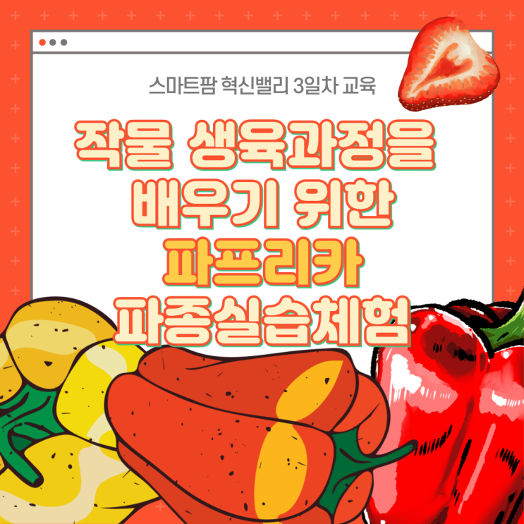  작물 생육과정 배우기 및 파프리카 파종 실습교육 체험