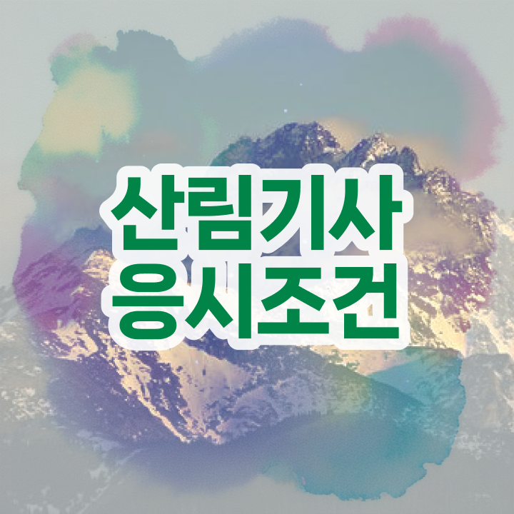  산림기사 학점은행제 후기 산림기사 시험자격 학점은행제로 빠르게 끝낸 팁