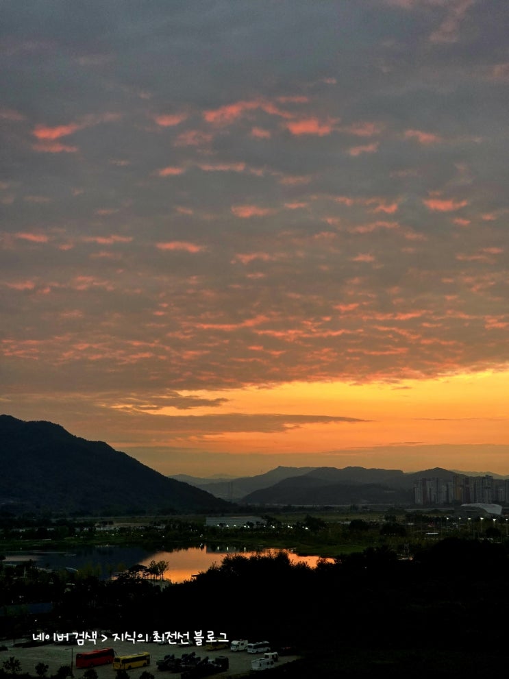  동네 한 바퀴소박한 우리 동네, 세종 새벽 산책!
