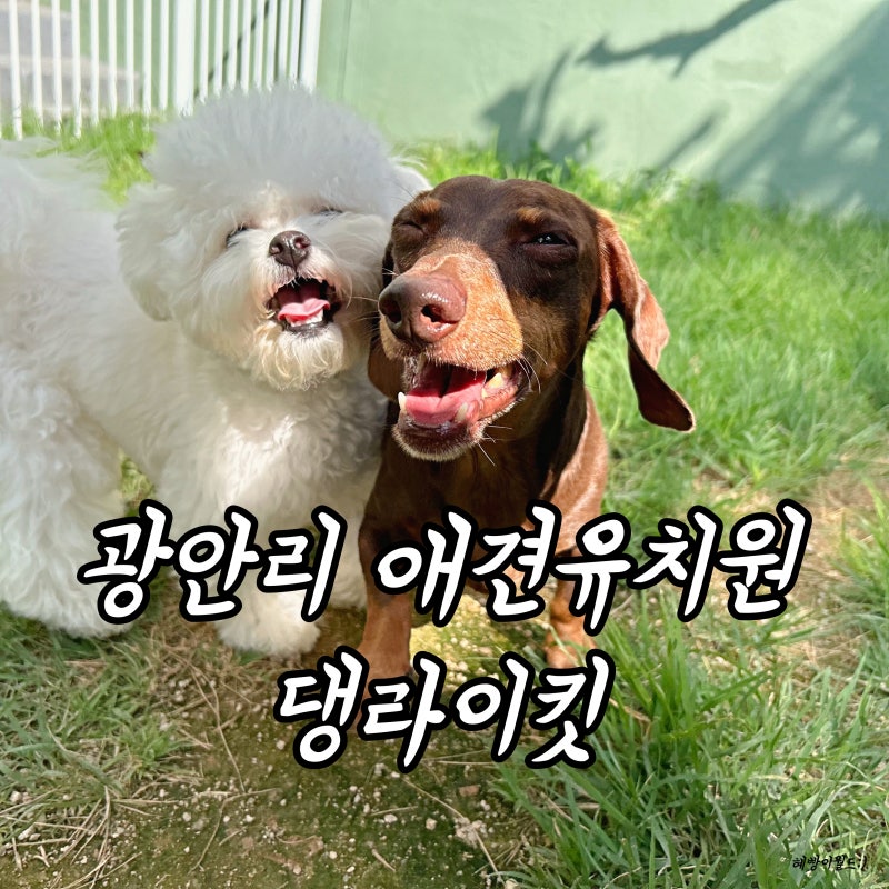 사진 3