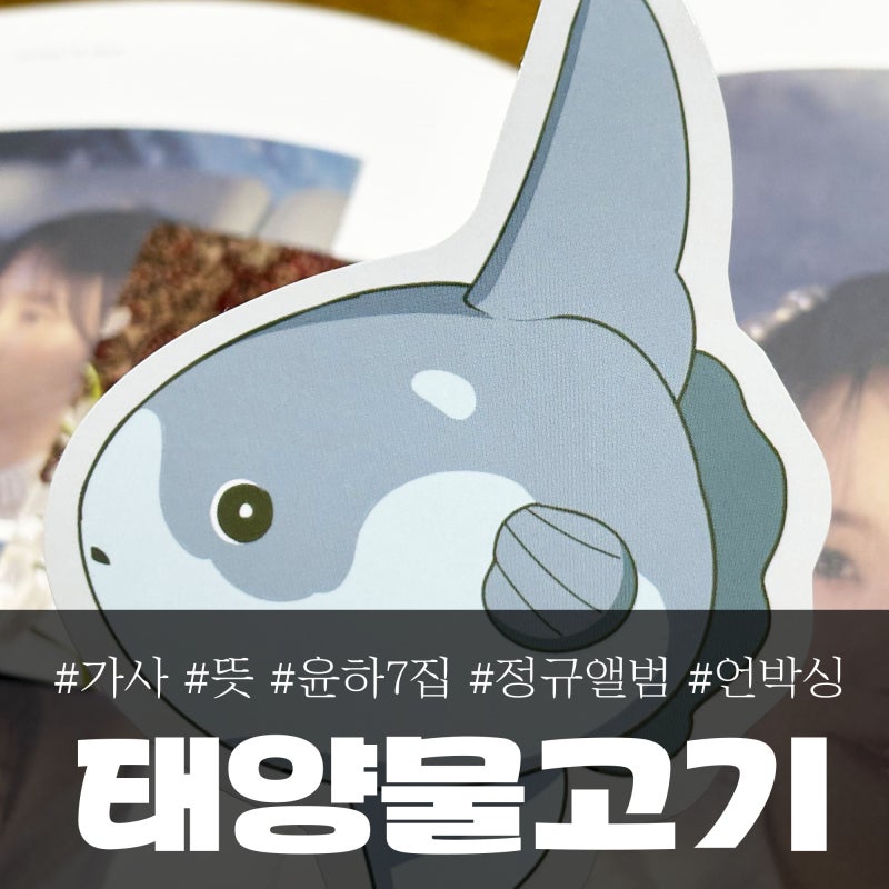 윤하 신곡 태양 물고기 가사, 뜻(+7집 정규 앨범 언박싱)