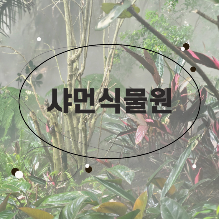  샤먼여행 중국스케일식물원 샤먼식물원 후기