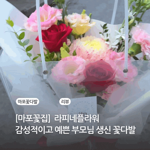  마포꽃집 감성적이고 사랑스러운 부모님 생신 꽃다발 라피네플라워