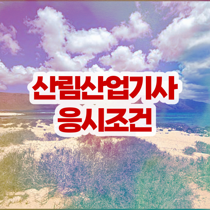  산림산업기사 자격증 산림산업기사 응시자격 온라인 수업으로 빠르게 준비한 전략