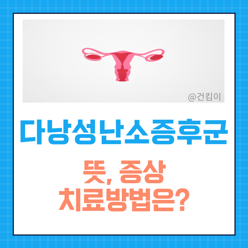 다낭성 난소 증후군 뜻은? 피검사로 진단해 보기 (증상)