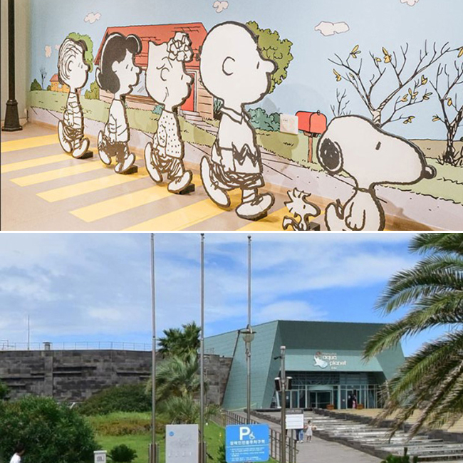  제주 동쪽 실내 관광지 비오는날 추천하는 핫플레이스