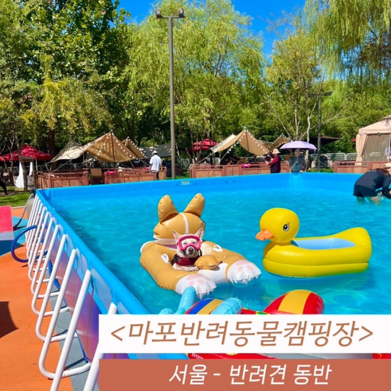 사진 3