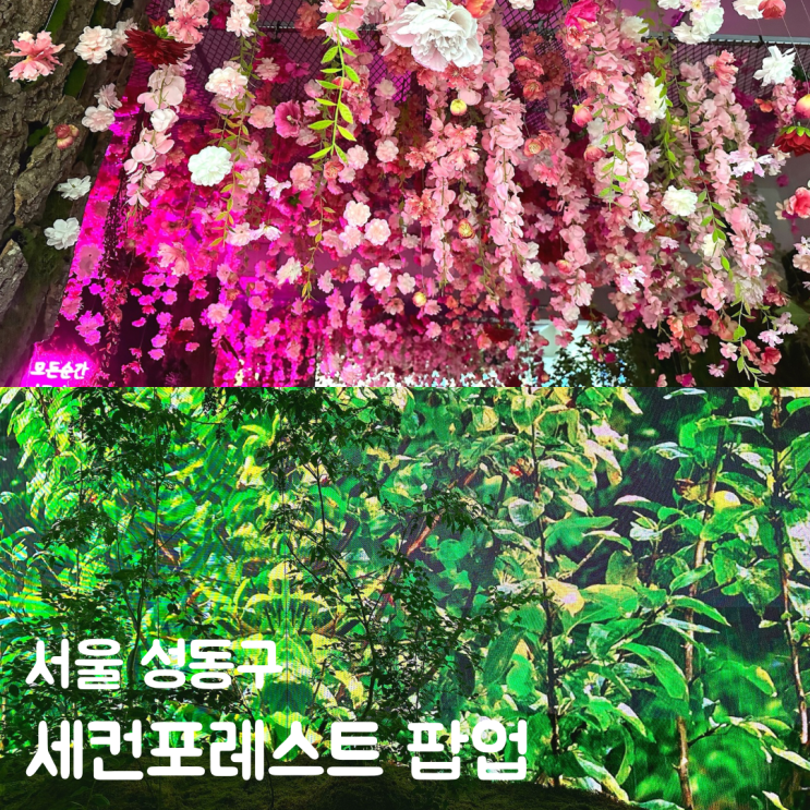  성수 팝업스토어 9월 세컨포레스트 서울 놀거리 데이트 코스