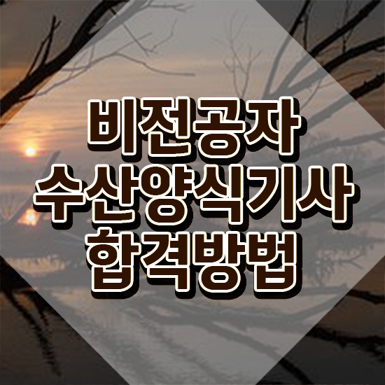  수산양식기사 후기 수산양식기사 취득자격 독학으로 간단하게 끝낸 노하우