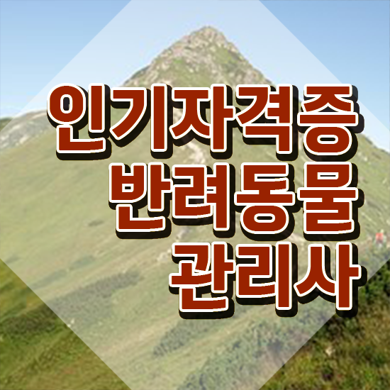  반려동물식품관리사 , 반려동물관리사 자격증 독학으로 취득했던 후기 여기만 보세요