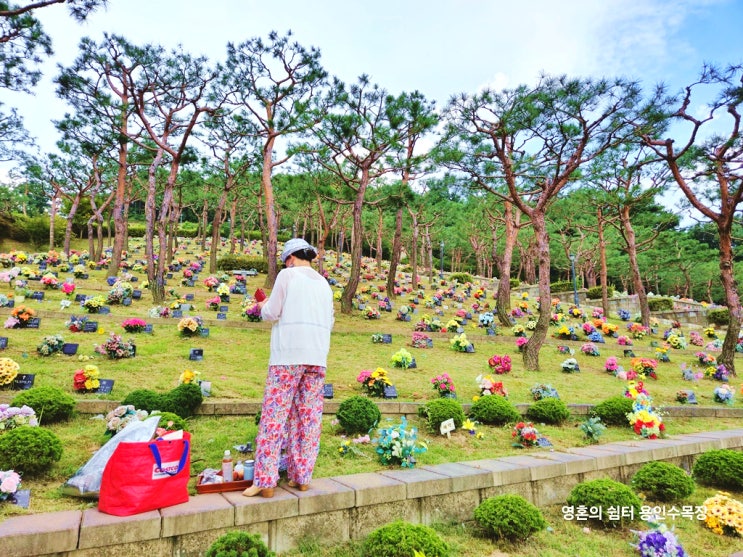  자연장이란 예법 볼게요