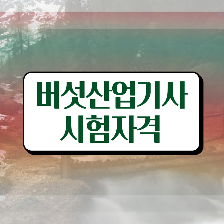  버섯산업기사 응시조건 독학으로 편하게 끝낸 비법