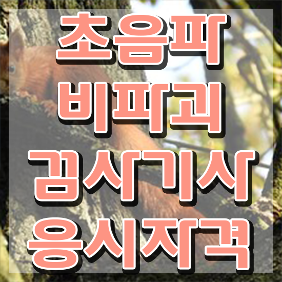  초음파비파괴검사기사 2024 초음파비파괴검사기사 시험자격 온라인으로 간편하게 끝낸 팁