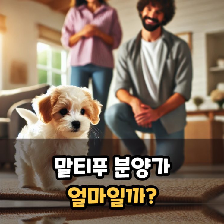  말티푸 분양가는 얼마일까