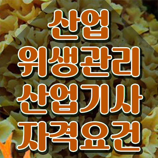  산업위생관리산업기사 자격조건 산업위생관리산업기사 응시조건 학점은행제로 쉽고 빠르게 완료한 방법