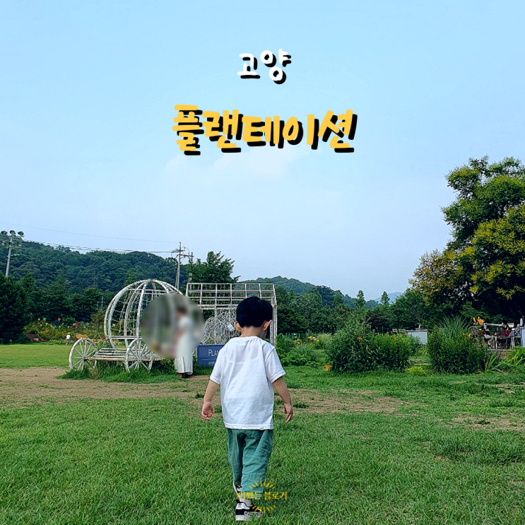  고양 가볼 만한 곳 가족 모임, 아이들 뛰어 놓기 좋은 고양 플랜테이션